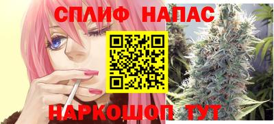 гашик Новодвинск