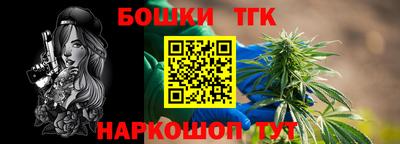 гашик Новодвинск