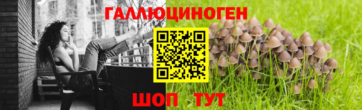 Псилоцибиновые грибы прущие грибы Семёнов