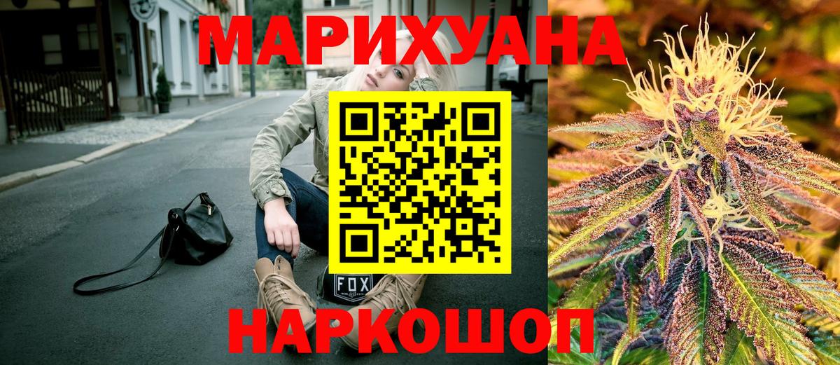Каннабис сатива  Конопля план  Конопля Ganja  Семёнов  Вход с VPN 